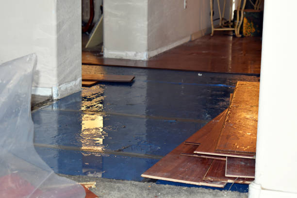 Professional Burst Pipe Cleanup technician working in Glenville, WV